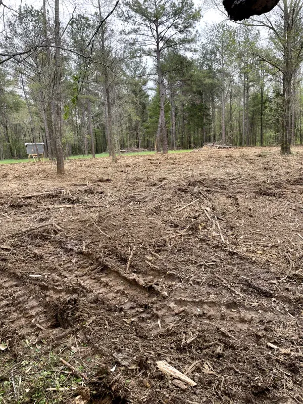 A person is standing in the middle of a dirt field with trees in the background.
