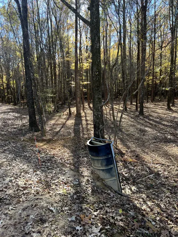 A blue canoe is sitting in the middle of a forest.