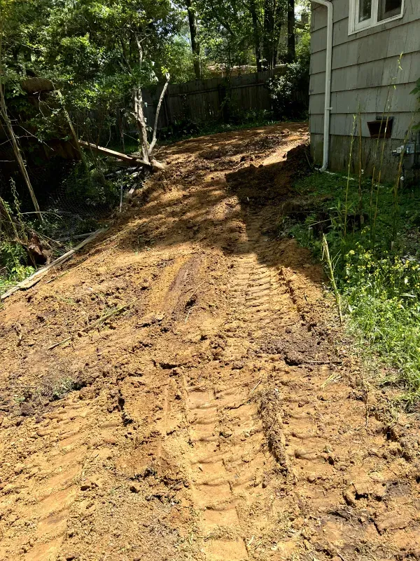 A dirt road leading to a house in the woods.