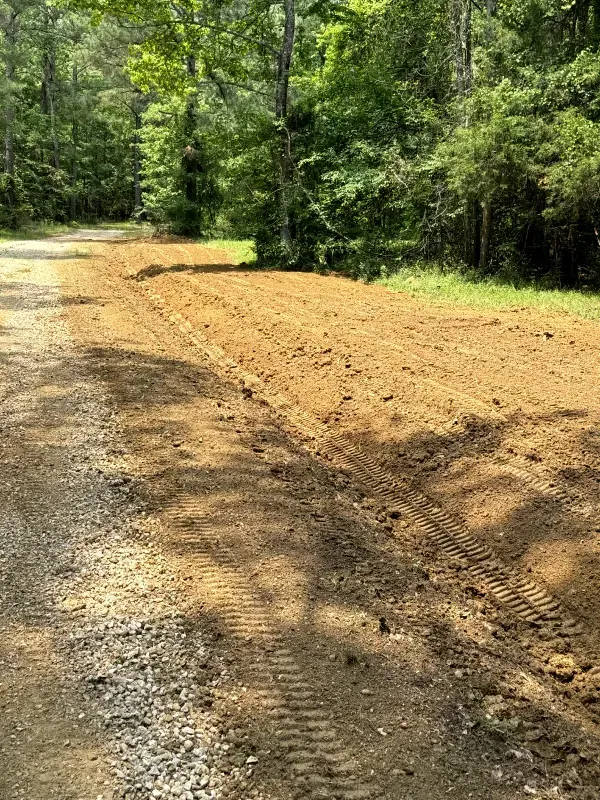 A dirt road in the middle of a forest with trees in the background.