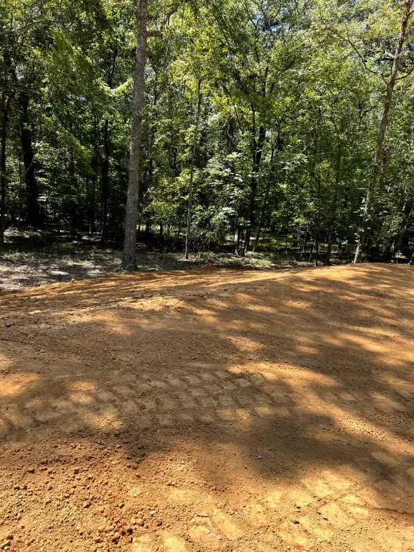 A dirt field in the middle of a forest with trees in the background.