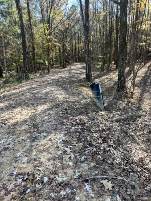A barrel is sitting on the ground in the middle of a forest.