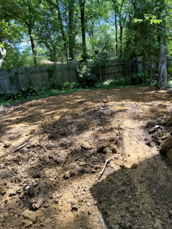 A dirt field with trees in the background and a fence in the background.