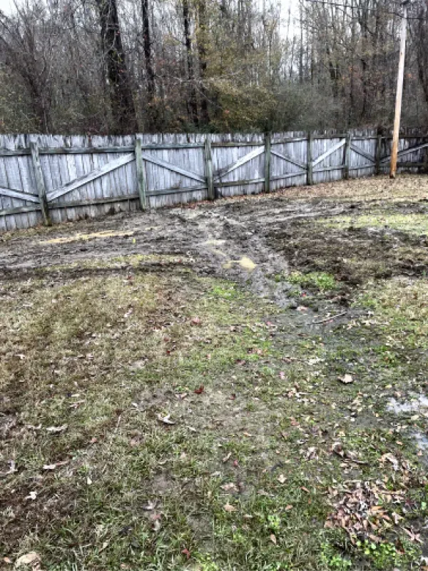 A muddy yard with a wooden fence and trees in the background.
