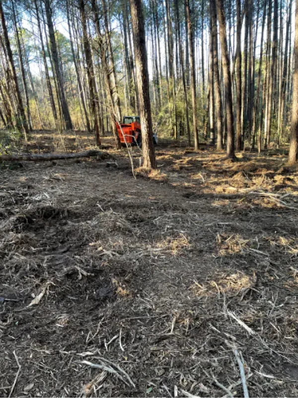 A red truck is parked in the middle of a forest.