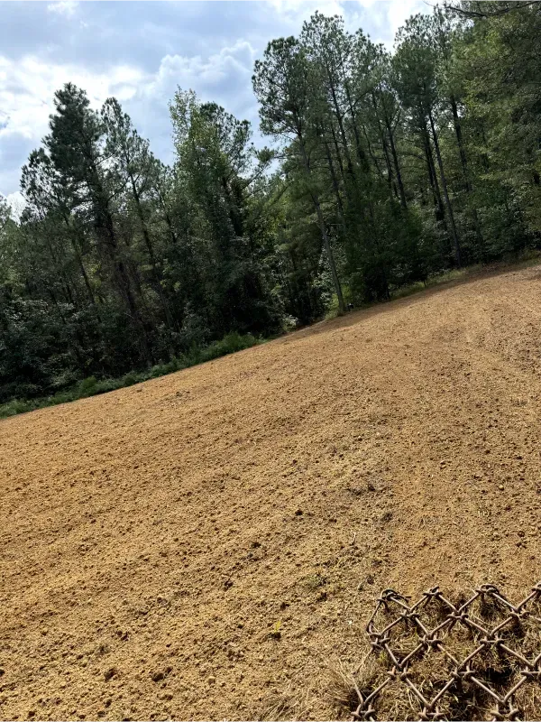 A dirt field with trees in the background and a chain link fence in the foreground.