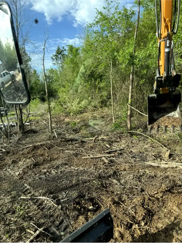 A bulldozer is digging a hole in the dirt in a forest.