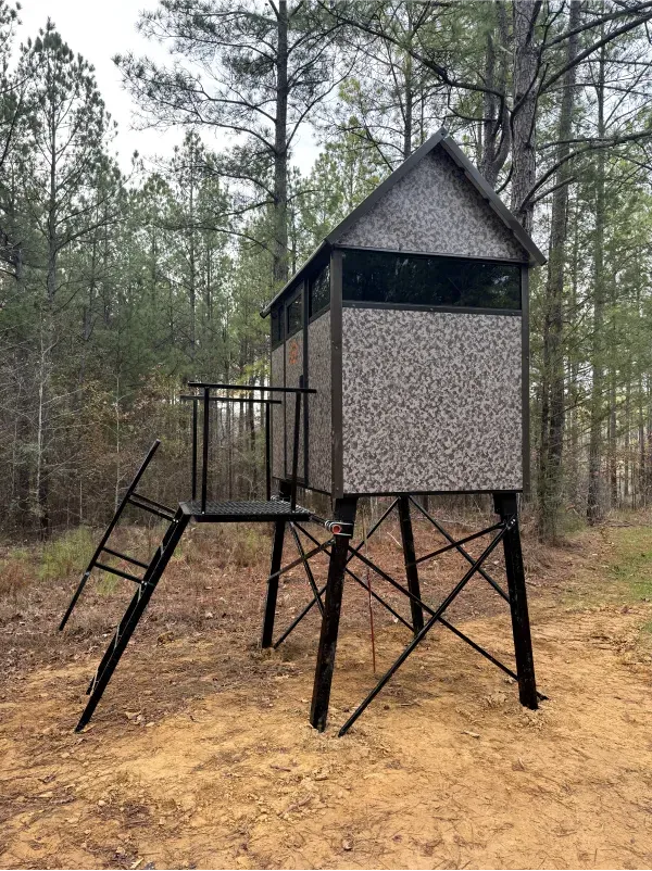 A small wooden house is sitting in the middle of a forest.