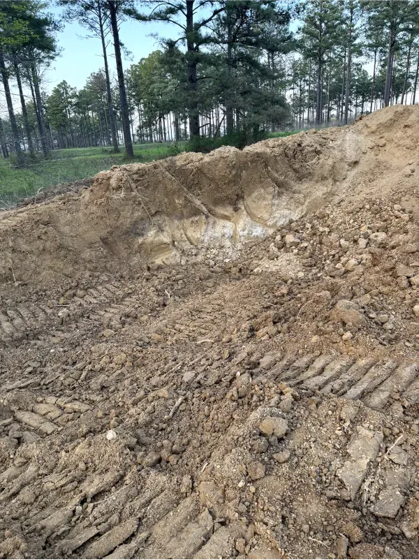 A large pile of dirt is sitting in the middle of a forest.