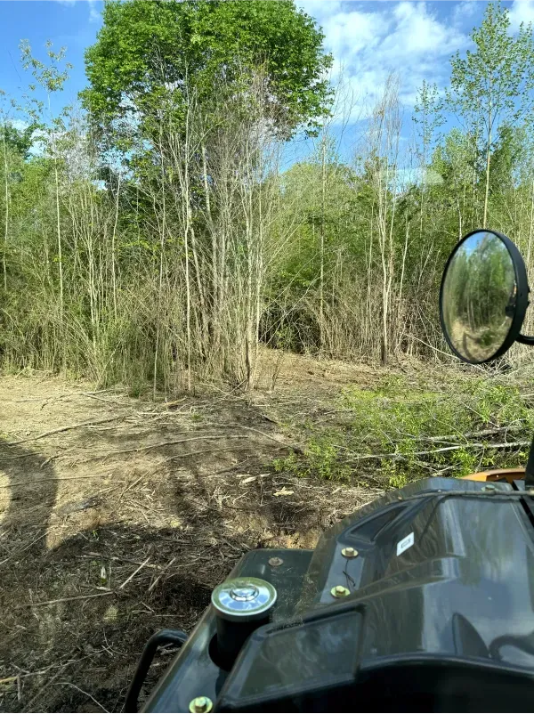 A motorcycle is parked in a field with trees in the background