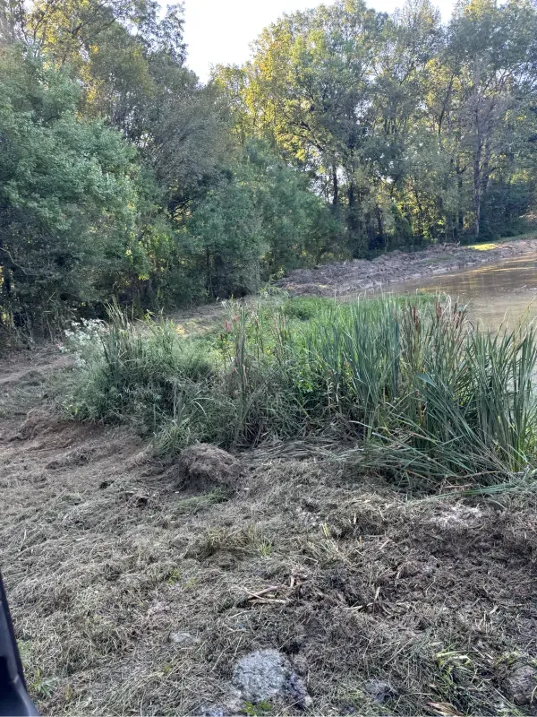 A large body of water surrounded by trees and grass.