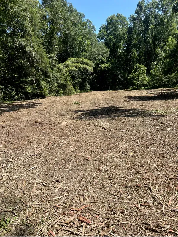 A field filled with lots of wood chips and trees in the background.