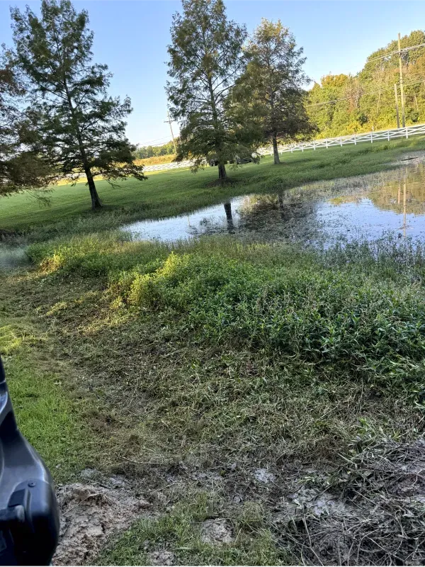 A person is standing next to a body of water in a field.