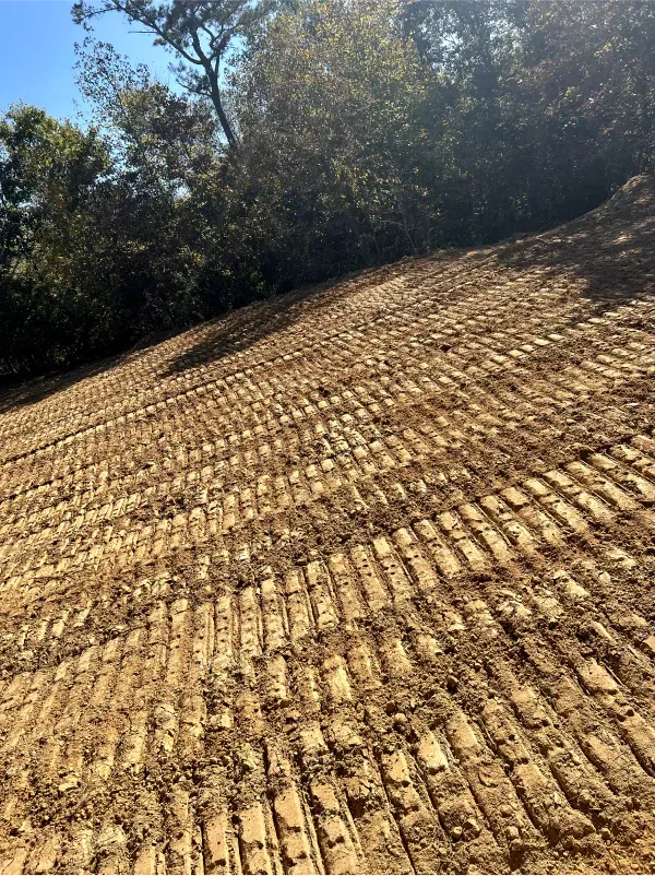 A field of dirt with trees in the background