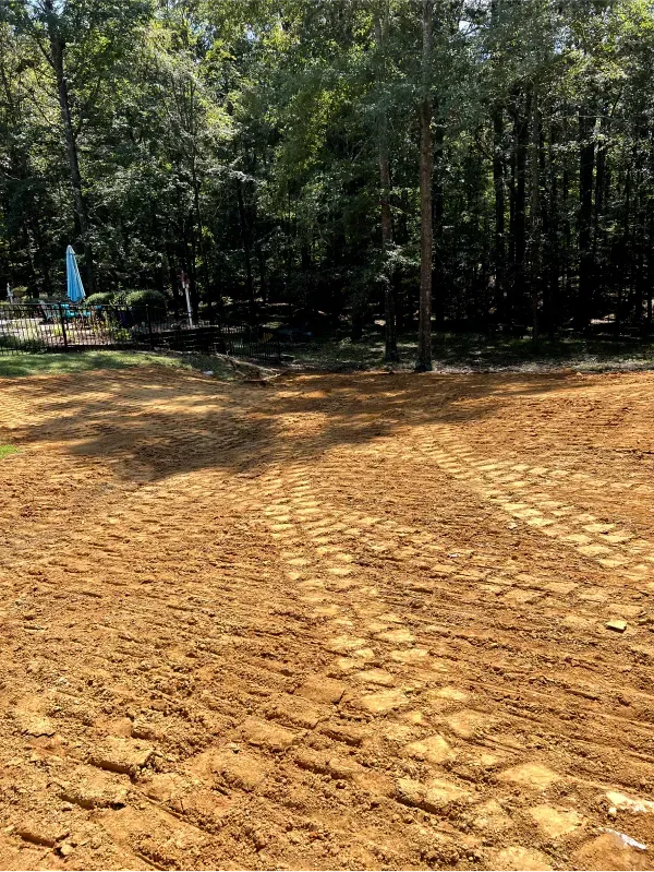 A large pile of dirt is sitting in the middle of a forest.