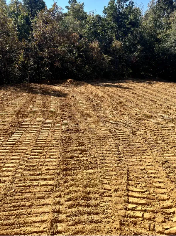 A dirt field with trees in the background and tracks in the dirt.