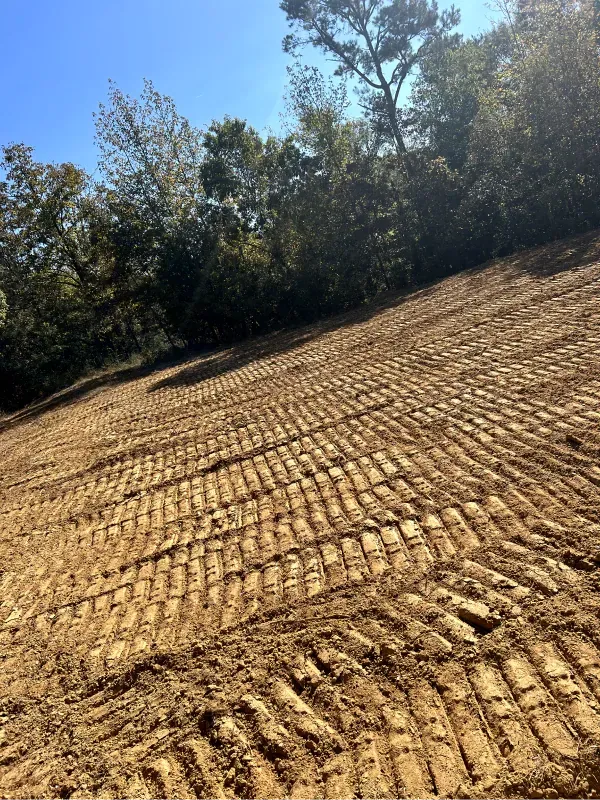 A dirt hill with trees in the background and a lot of tracks in the dirt.