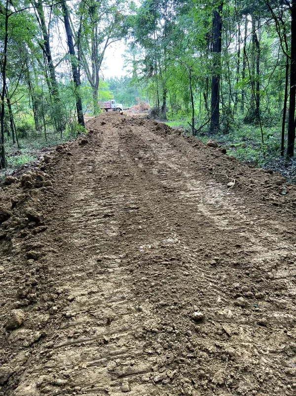 A dirt road in the middle of a forest.