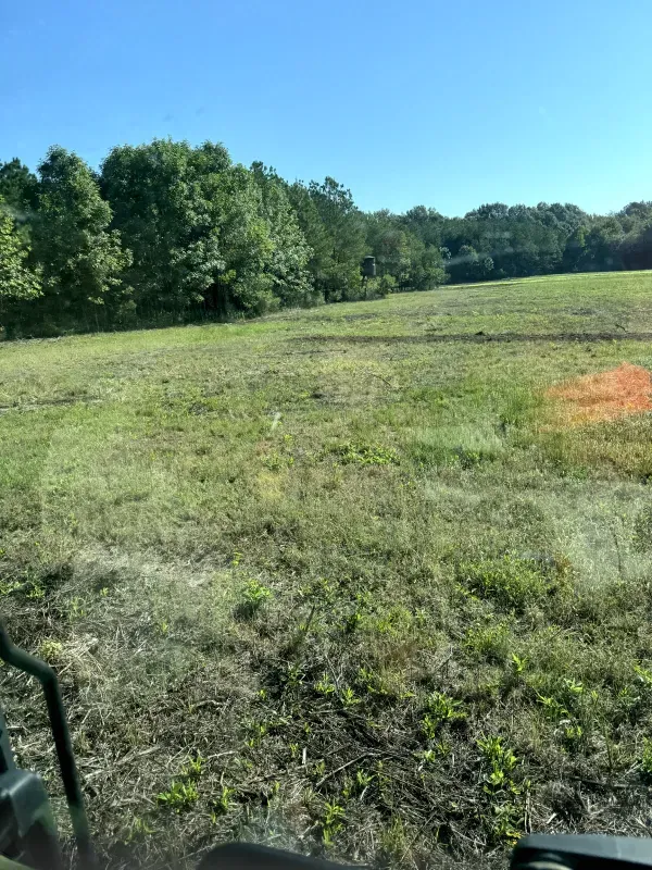 A tractor is cutting grass in a field with trees in the background.