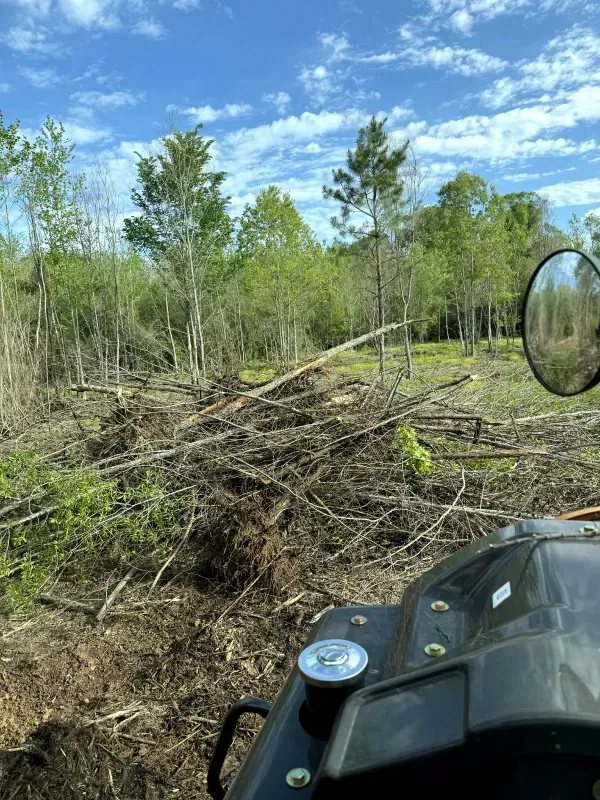 A person is riding a snowmobile through a forest.