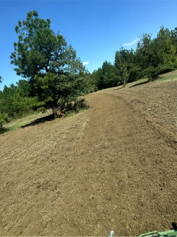 A dirt road going up a hill with trees in the background