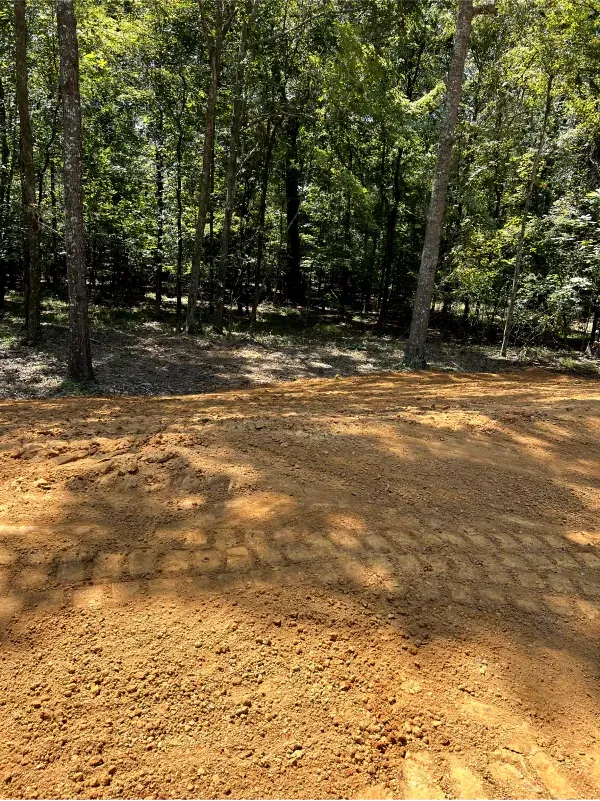 A dirt field in the middle of a forest with trees in the background.