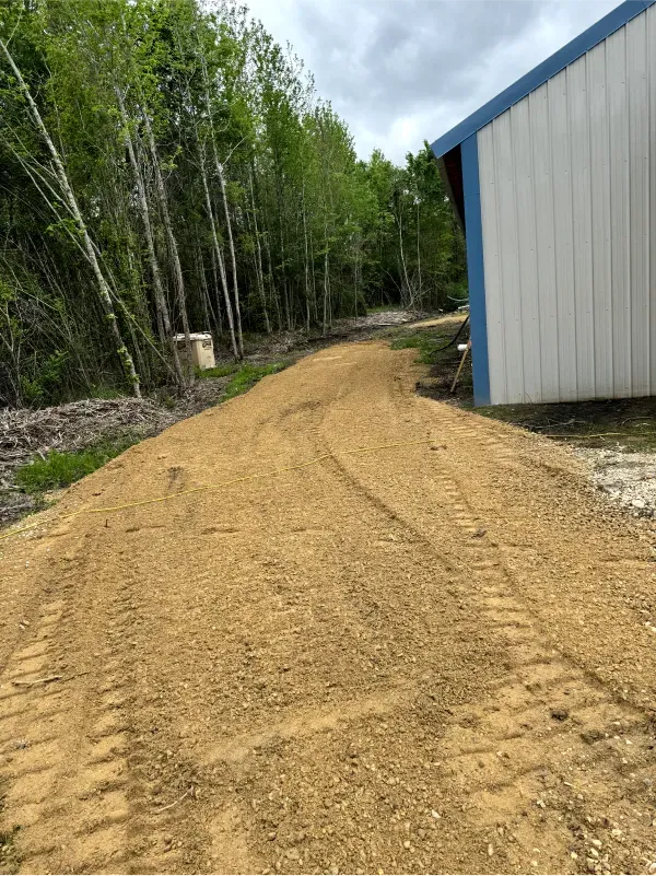 A dirt road leading to a building in the woods.