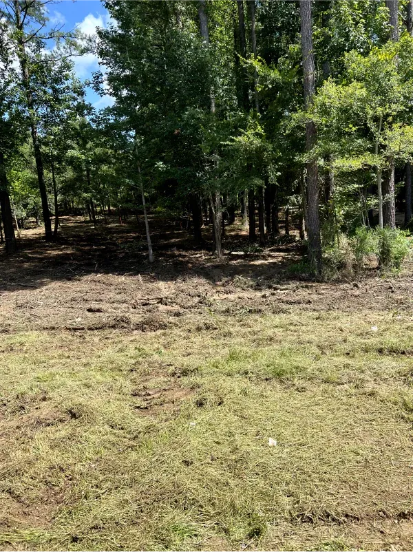 A field of grass with trees in the background.