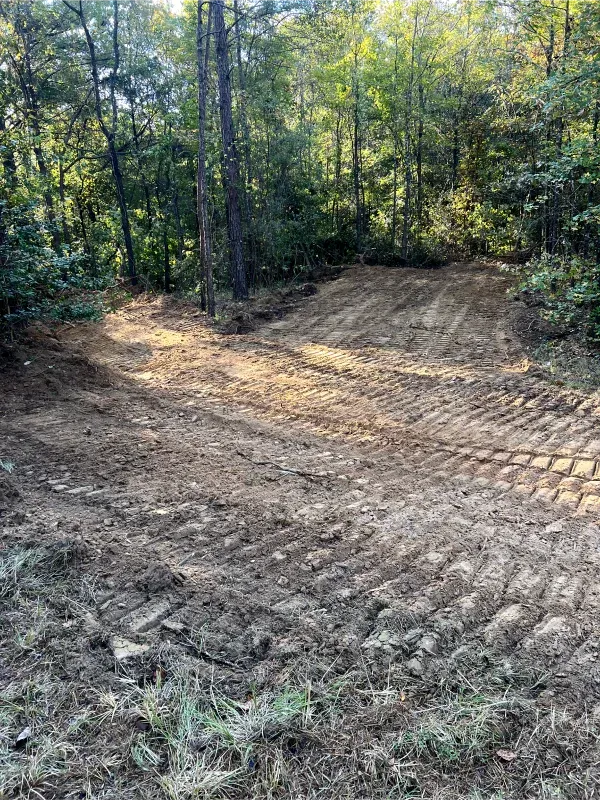 A dirt road in the middle of a forest with trees in the background.