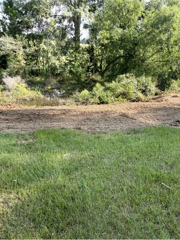 A lush green field with trees and dirt in the background.