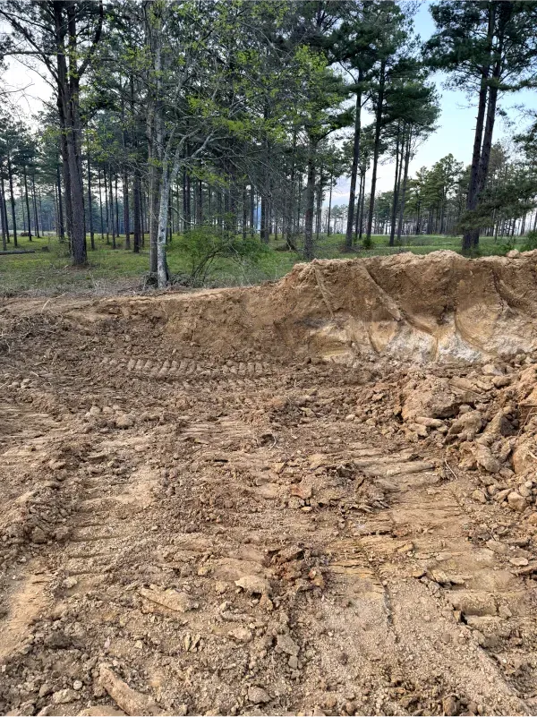 A large pile of dirt is sitting in the middle of a forest.