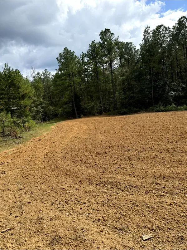 A dirt field with trees in the background and a cloudy sky
