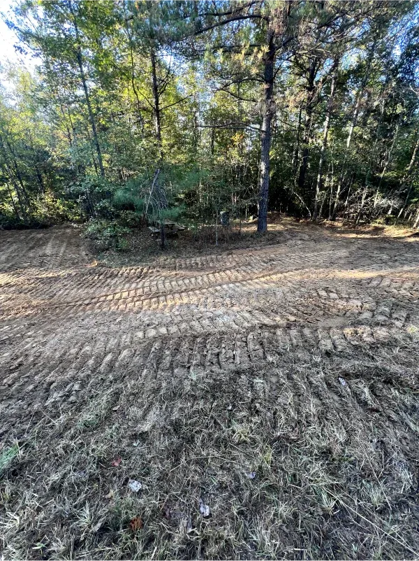 A dirt road in the middle of a forest with trees in the background.