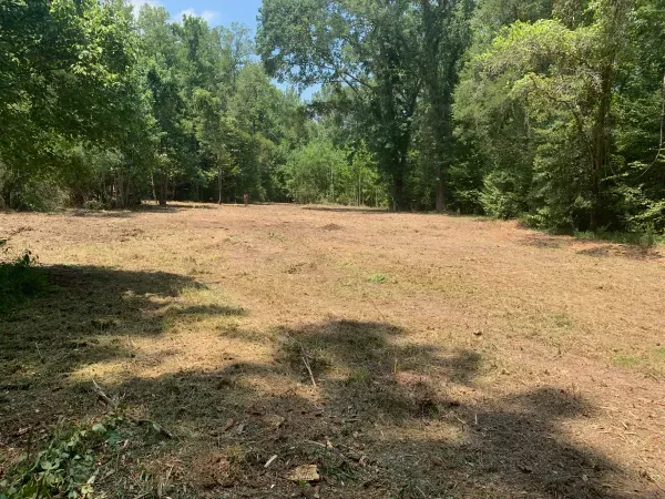 A large grassy field surrounded by trees on a sunny day.