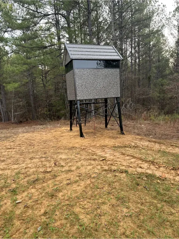 A small shed is sitting on top of a dirt field in the middle of a forest.