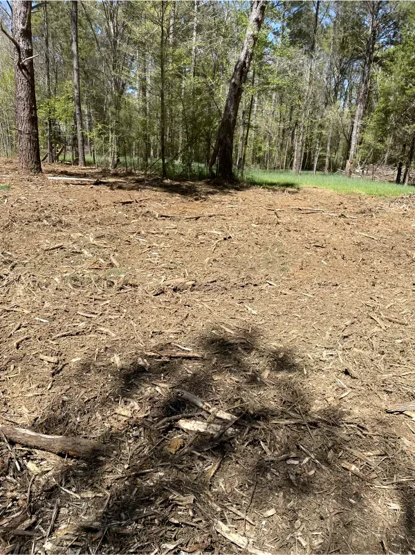 A dirt field in the middle of a forest with trees in the background.