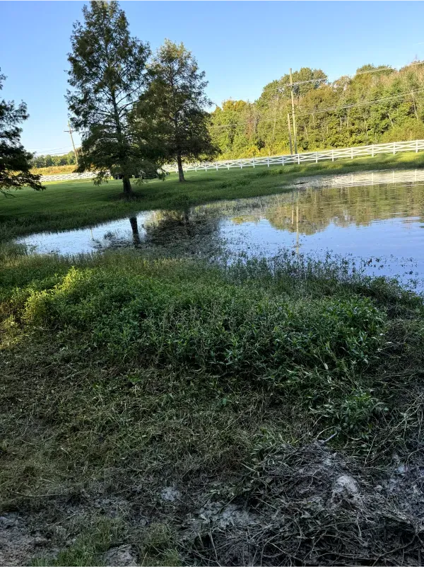There is a pond in the middle of a field with trees in the background.