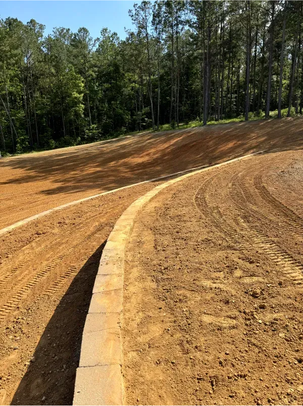 A dirt road going through a forest with trees in the background