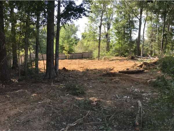 There is a lot of dirt in the middle of the woods.