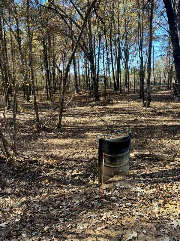 A barrel is sitting in the middle of a forest.