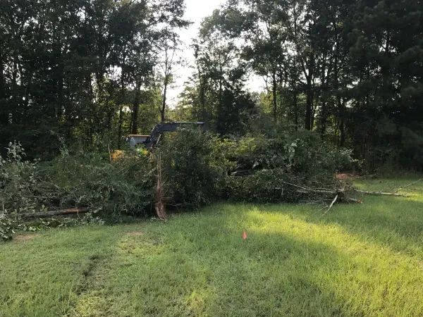 A large pile of trees is sitting in the middle of a grassy field.