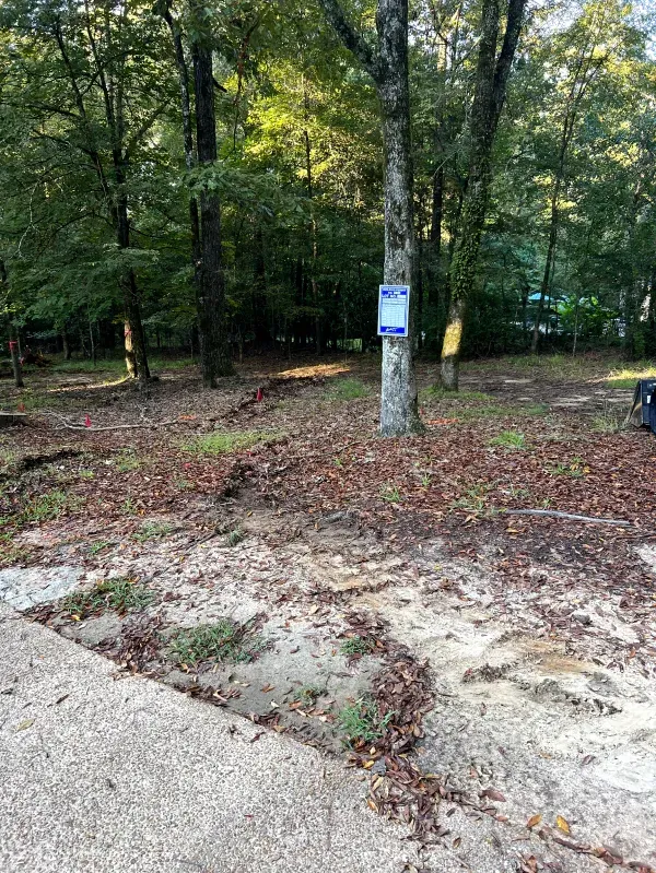 A dirt road going through a forest with trees and leaves on the ground.