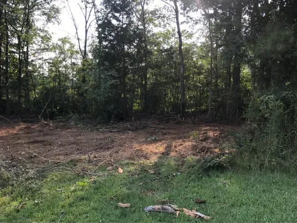 There is a lot of dirt in the middle of the woods.