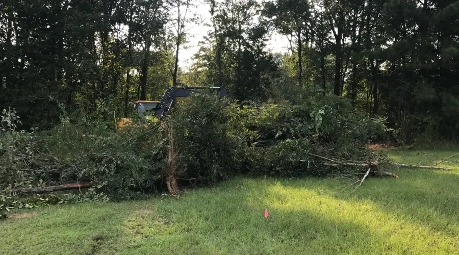 A tractor is cutting down trees in a yard.