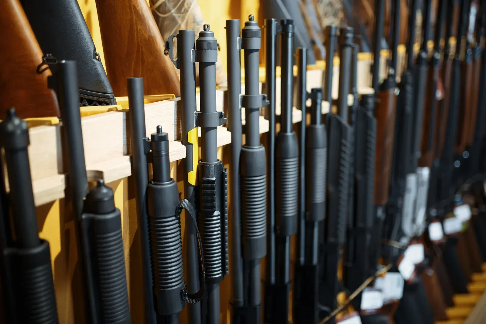 A row of shotguns hanging on a wall in a store.