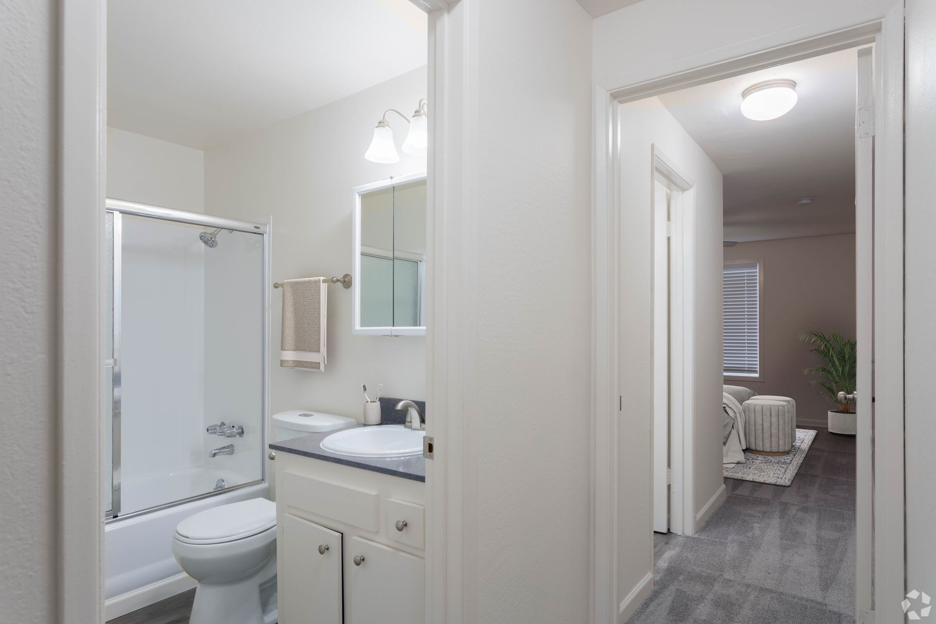 Bathroom with shower, vanity, and toilet, viewed from a hallway with a glimpse of a living area.