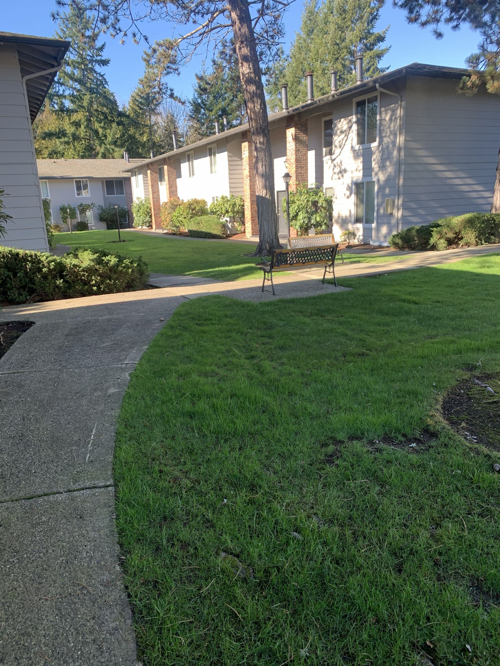 Apartment buildings with green lawn and pathway. A bench sits in the yard.