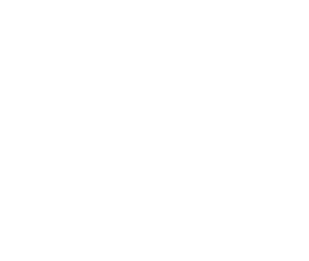 Company Logo - Footer