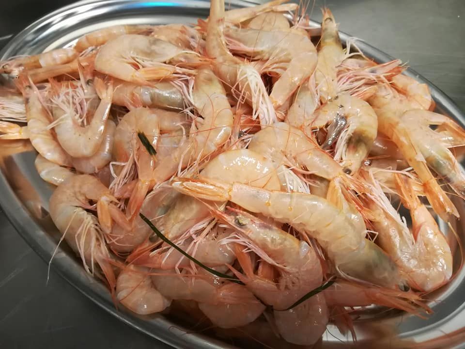 trattoria pappa &ciccia