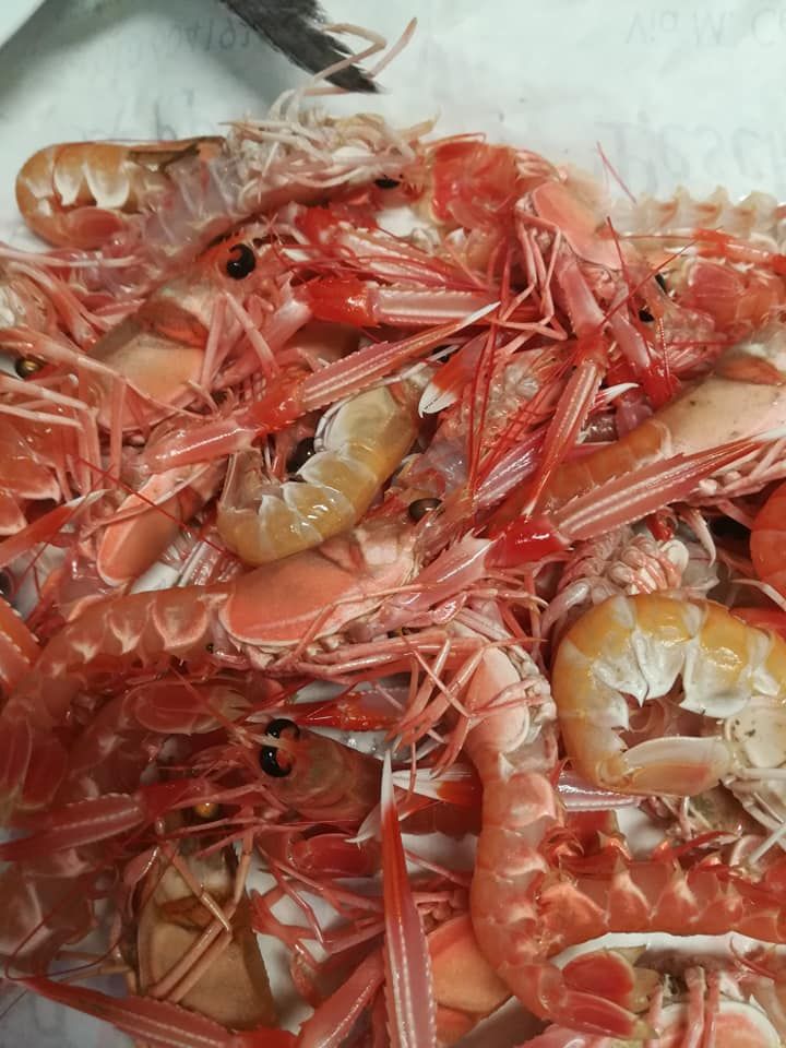 trattoria pappa &ciccia